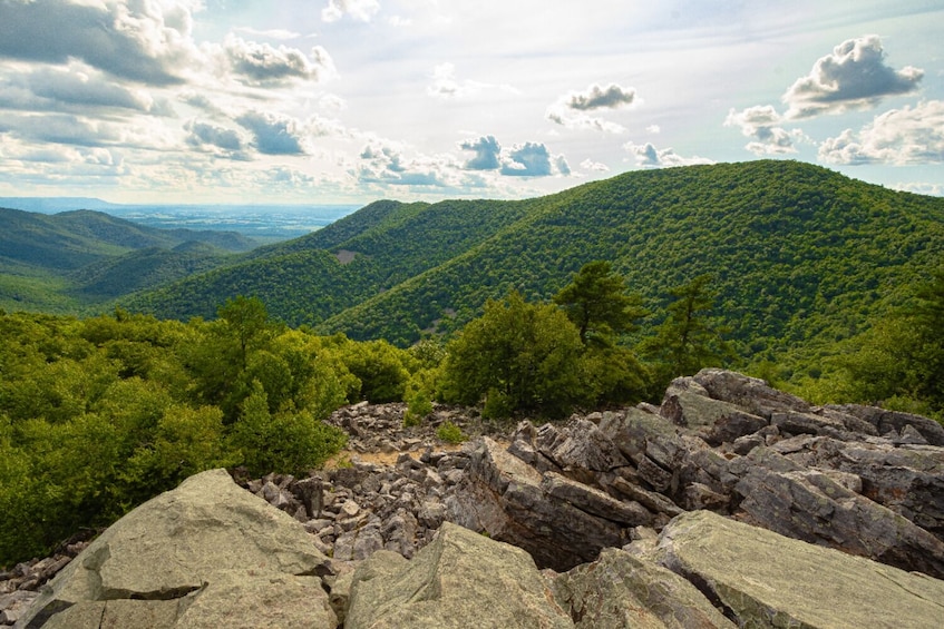 Shenandoah National Park Self-Driving Audio Tour