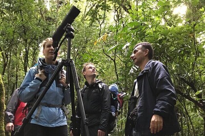 Discover the secrets of the Cloud Forest