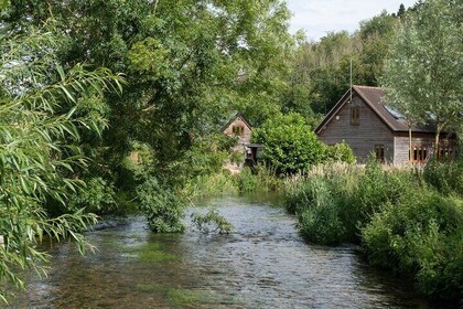 Explore Crystal Streams and Secret Valleys in Chiltern Hills