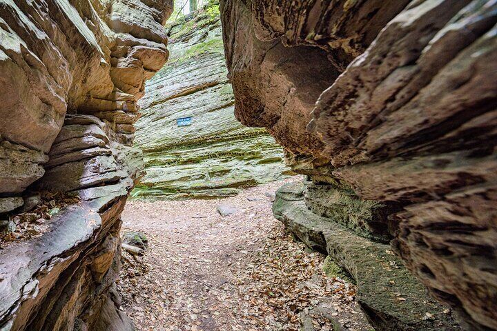 Nature experience Green Hell with delicious surprise finale