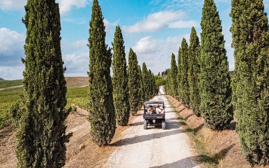 Safari Chianti Experience on a quad with picnic