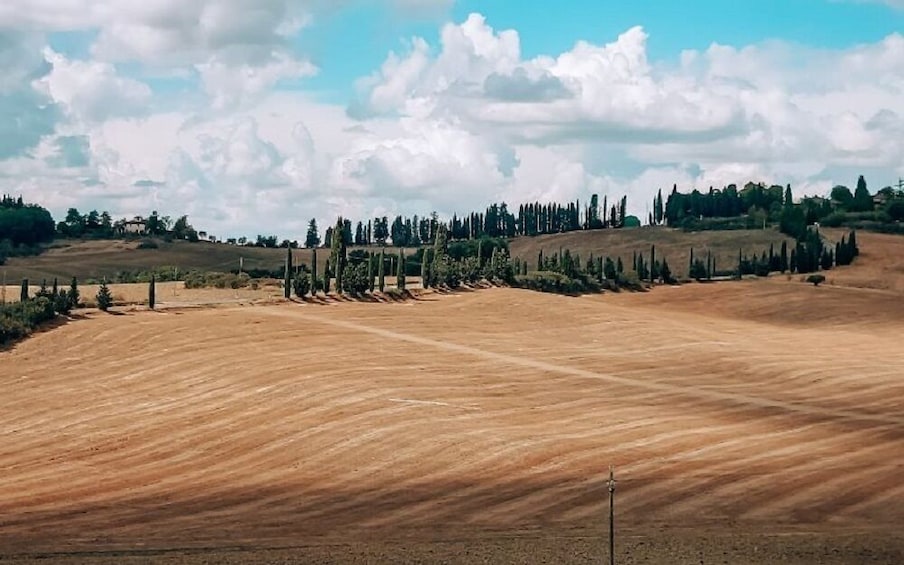 Safari Chianti Experience on a quad with picnic