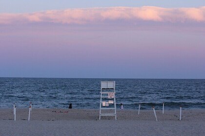 Hamptons Coastal Escape from NYC