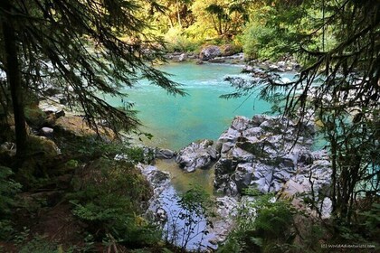 Squamish Canyon Sightseeing Tour From Canada