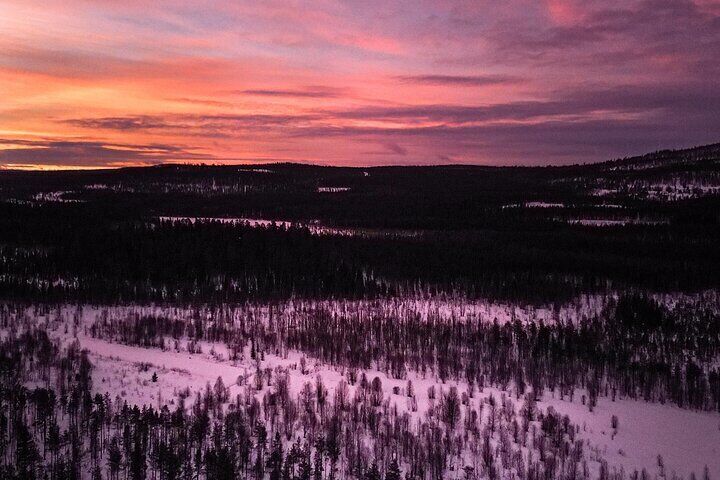 Snowmobile Sleigh Adventure in Authentic Lapland