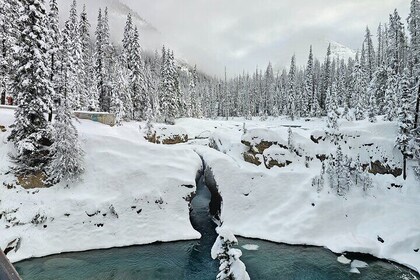 Banff and Yoho Winter Wonderland Private Tour