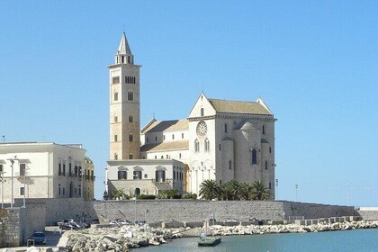 Bari,Trani & Castel Delmont Tour With Hotel Pickup From Lecce