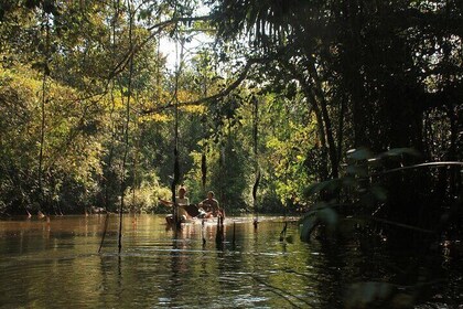 4 Day Amazon Jungle Expedition Pacaya Samiria National Reserve