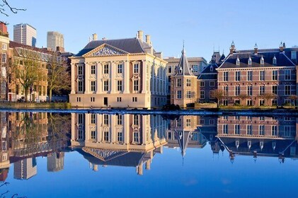 Private VIP Tour with Car to Rotterdam and The Hague with Official Guide