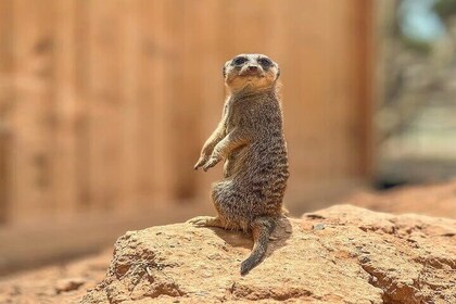 Agadir: Half-Day Villate Limoune Visit with Hotel Pickup & Ticket