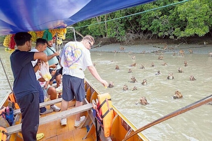 Private Unseen Mangrove Forest with Floating and Railway Market