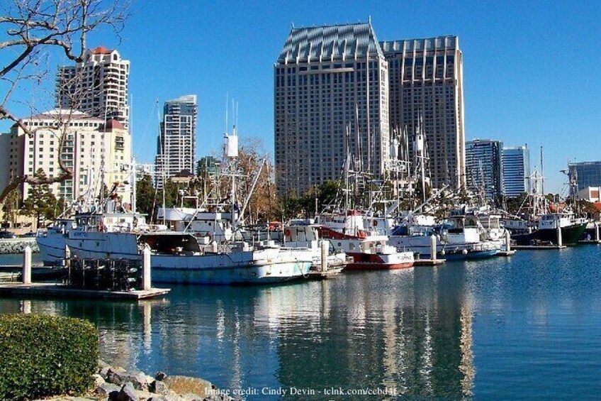 Discover San Diego's Beaches: Private Driving Tour