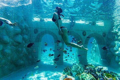 Snorkelling Experience at Sealanya Seapark