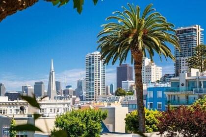 San Francisco Audio Tour Golden Gate Audio Tour Adventure