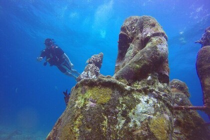 Scuba Dive at Musa Cancun for Certified Divers