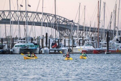 City Scenes Kayak Tour in Auckland - Explore the Waterfront