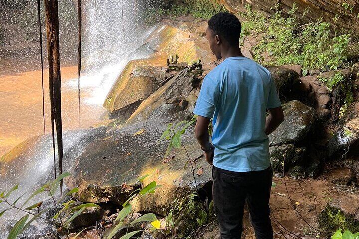 Elky Shimba Hills and Sheldrick Waterfall Day Tour