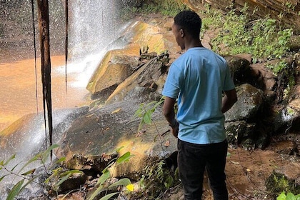 Elky Shimba Hills and Sheldrick Waterfall Day Tour