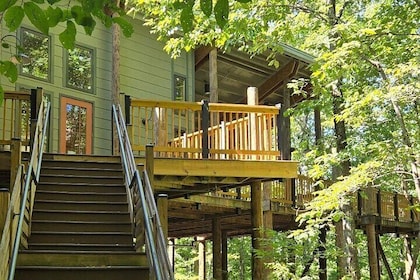 Meditative, Forest Bathing Hike followed by Yoga on the Deck