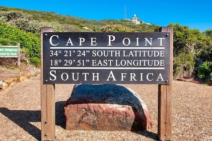 Full Day Cape Peninsula Tour