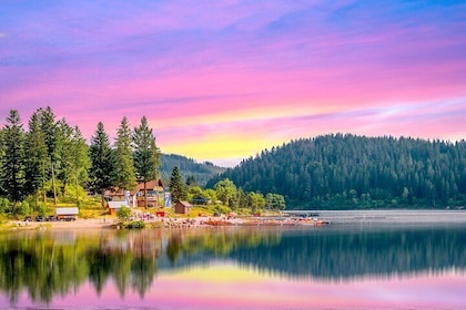 Day Trip from Frankfurt to the Black Forest & Baden-Baden