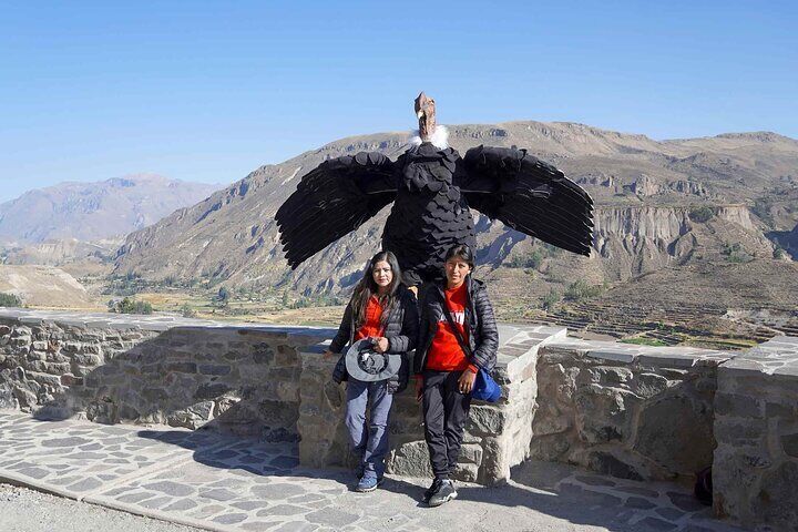Colca DE Day Tour
