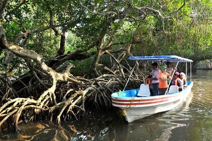 Veracruz City Tour with San Juan de Ulúa and Mandinga Boat