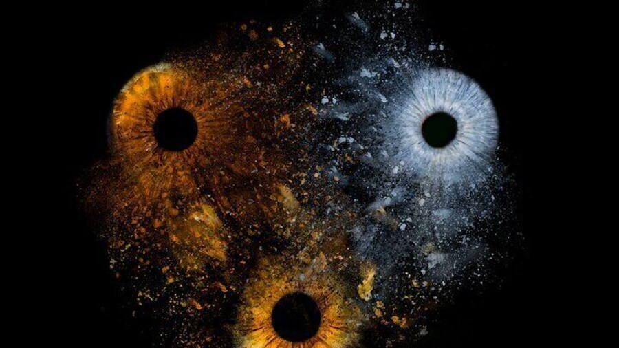 Iris Photography Experience at Starbeach Hersonissos