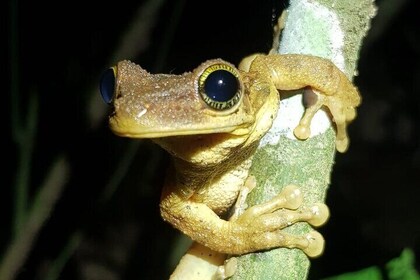 Manu Cultural Zone 4 Days