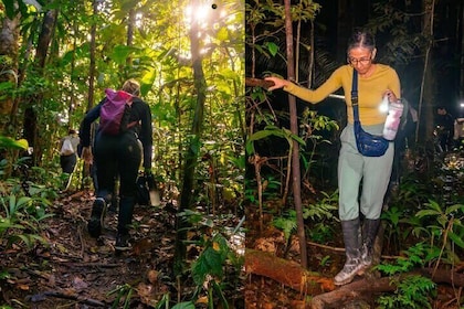 Ancient Malocan Culture and Tree House Jungle Tour