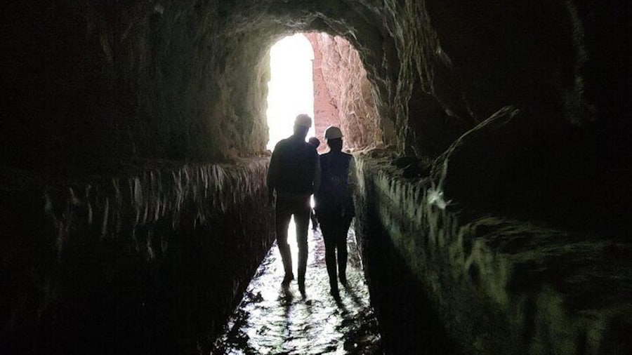 Between Tunnels and Bats