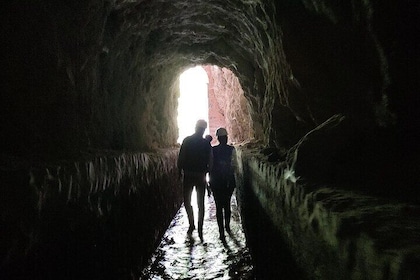 Between Tunnels and Bats