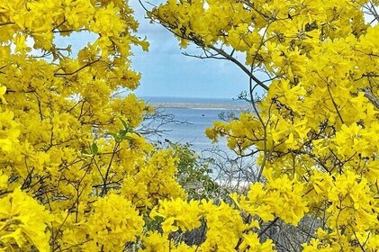 Excursion to Seru Largu Highest Viewing Point on Bonaire