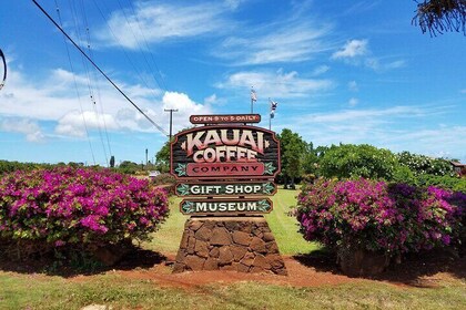 Kauai Highlights Full Day Tour with Waikiki Pickup