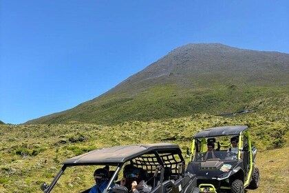Mountain House 2 Hour Buggy Ride