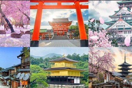 3 Day Private Osaka Kyoto and Nara Tour