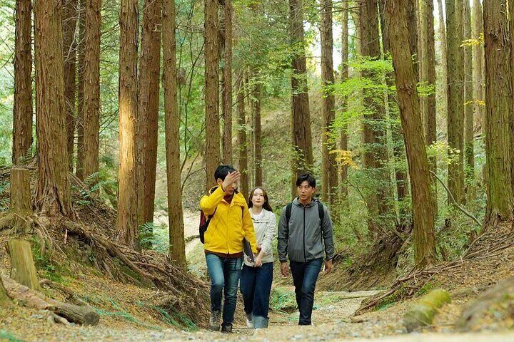 Private Guided Mt. Kunimi Trek