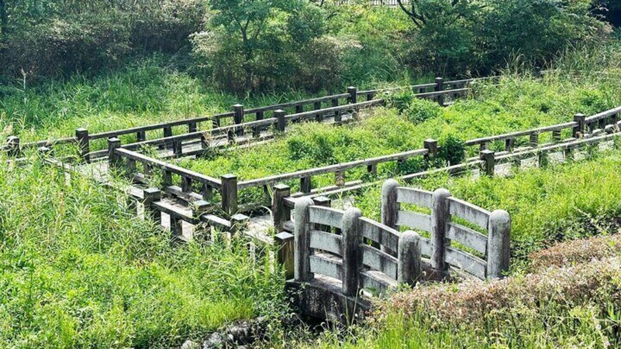 Private Guided Mt. Kunimi Trek