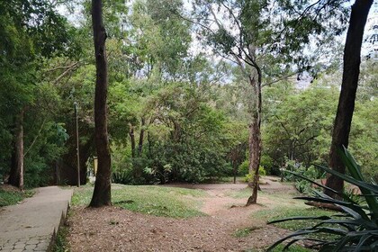 Medellín Cultural Tour: Plaza Botero, Local Market and Comuna 13