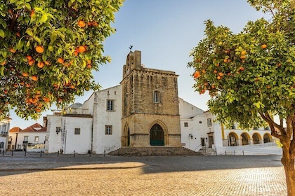 Hello Faro: Private 2-Hour Intro City Walk with Local Guide