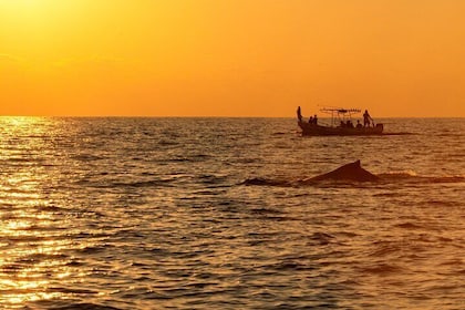 Private Tour of the Beaches of Puerto Escondido in Lancha
