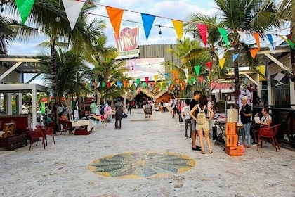 Punta Cana Shopping Tour with Transportation