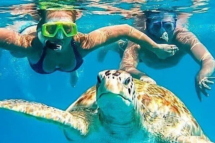 Full Day Swim with Turtles and Coastal Tour from Piura