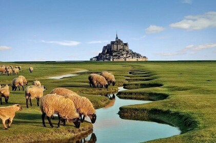 Private Day Trip to Mont-Saint-Michel and Rouen from Paris