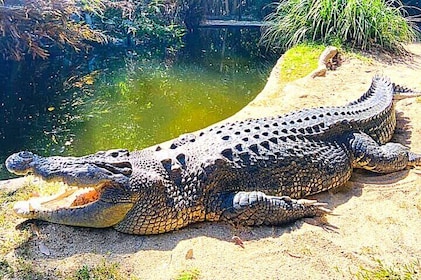 Hartleys Crocodile Adventures (ex Cairns)