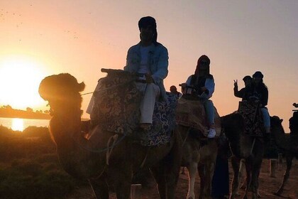Agadir Camel Ride at Sunset with BBQ Dinner