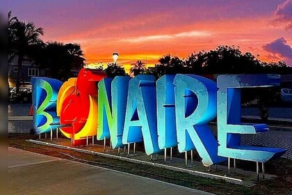 2 Hours Private Chauffeur Driven Car Minibus for 1 to 12 persons