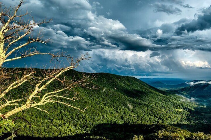 Shenandoah National Park Self-Guided Driving Audio Tour