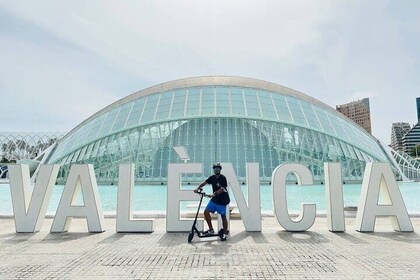 Private E-Scooter Tour Old Town Gardens and City of Arts