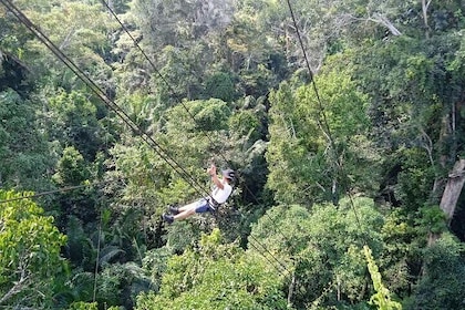 Peruvian Amazon Rainforest of Tambopata for 3 Days 2 Nights